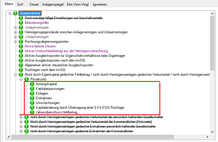 Nicht durch Eigenkapital gedeckter Fehlbetrag (PLUS-Version)